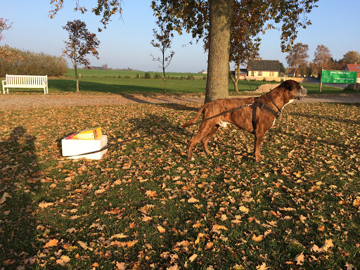 Kissers Happy Dogs in Høng, Kalundborg