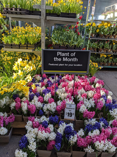 Home Improvement Store «The Home Depot», reviews and photos, 600 Connecticut Ave, Norwalk, CT 06854, USA