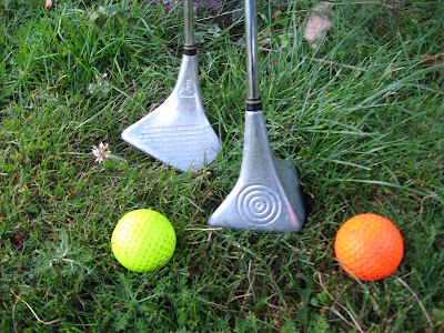 SWIN GOLF DE LA ROCHE à Goven