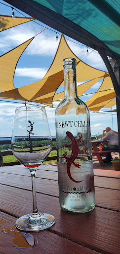 Bistro «Red Newt Cellars Winery and Bistro», reviews and photos, 3675 Tichenor Rd, Hector, NY 14841, USA