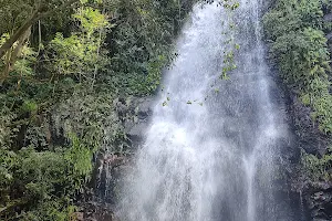 Cumbum Forest Range image