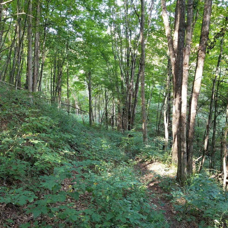 Allegheny Trailhead (I64 Trailhead)