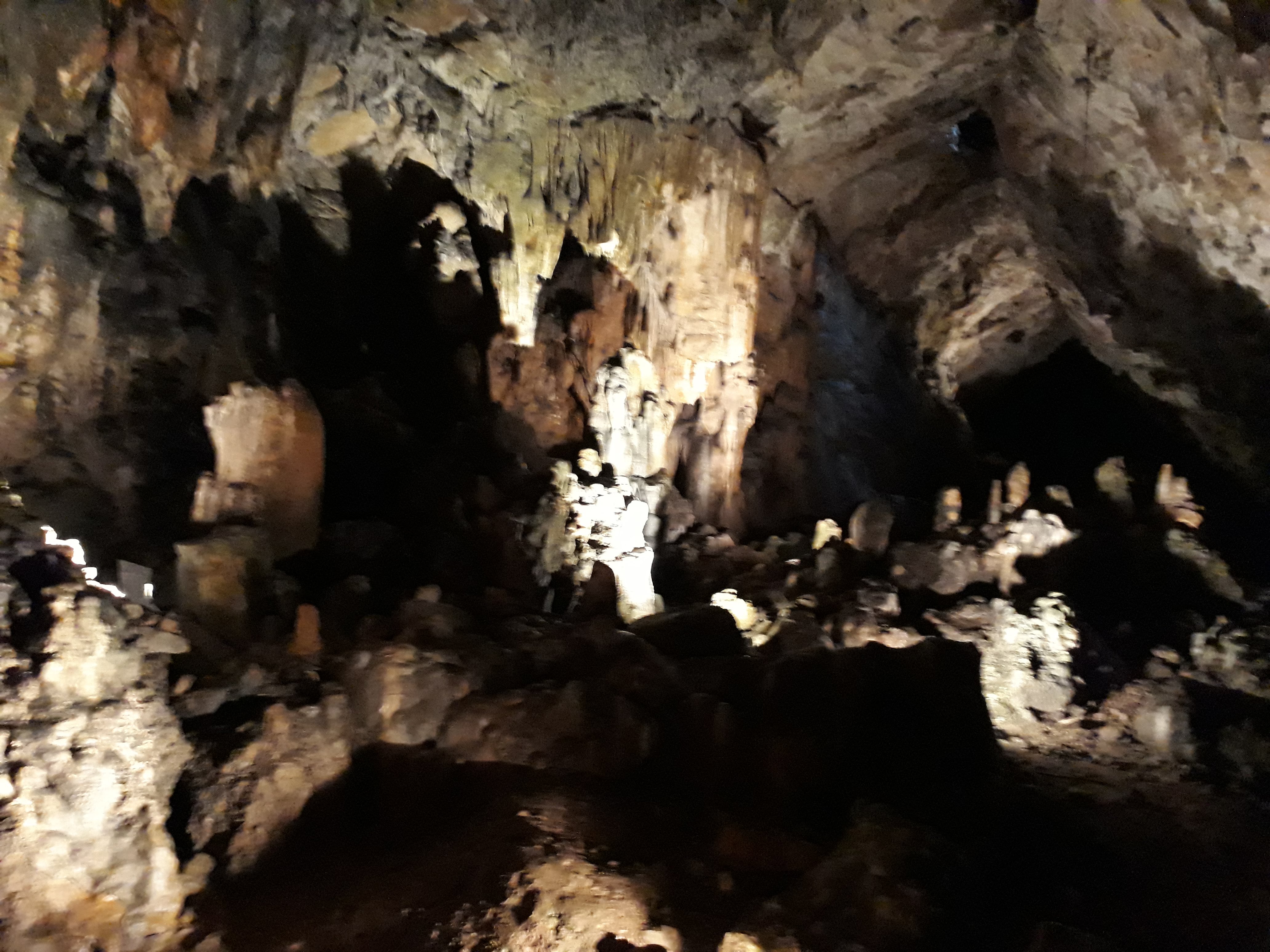 Photo n° 19 de l'avis de Olivier.e fait le 22/04/2018 à 09:12