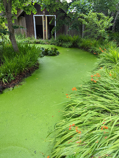 Coffee Shop «Cafe Mokka», reviews and photos, 495 J St, Arcata, CA 95521, USA