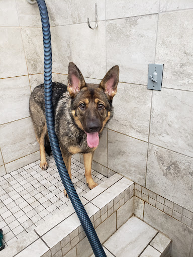 Pet Supply Store «Pet Supplies Plus», reviews and photos, 713 Brandilynn Blvd, Cedar Falls, IA 50613, USA