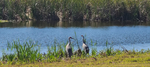 Nature Preserve «Marshall Hampton Reserve», reviews and photos, 3115 Thornhill Rd, Winter Haven, FL 33880, USA