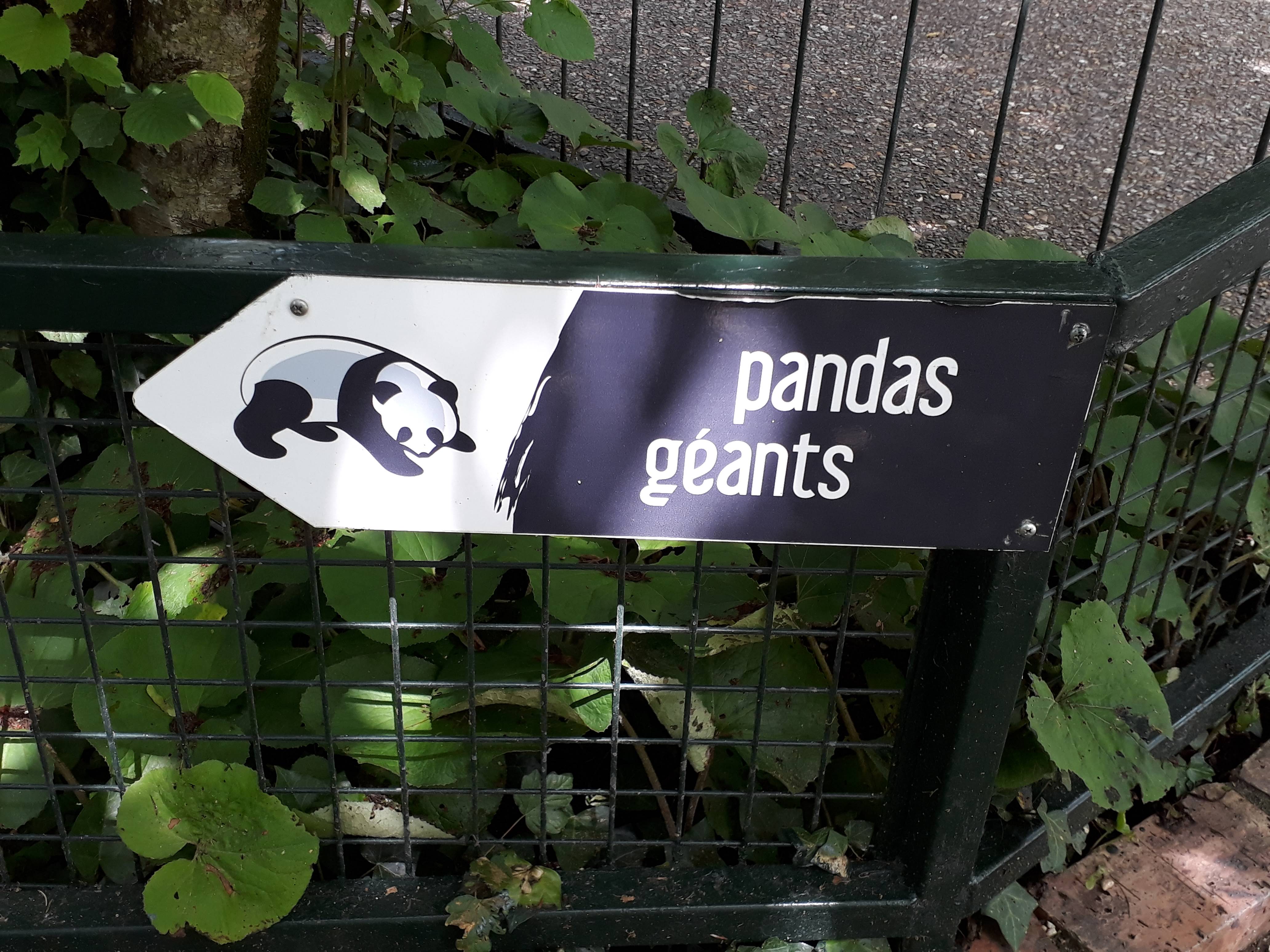 Photo n° 1 de l'avis de Julie.h fait le 17/06/2018 à 08:38
