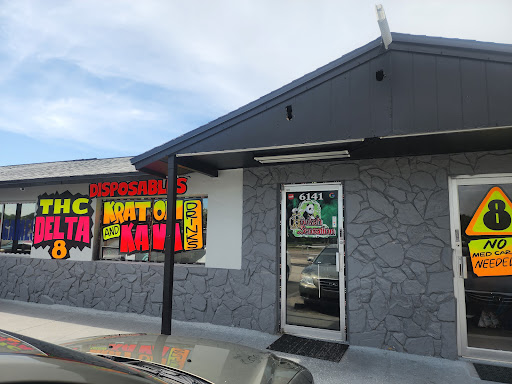 Hookah Sensation Smoke Shop, 6141 Ridge Rd, Port Richey, FL 34668, USA, 