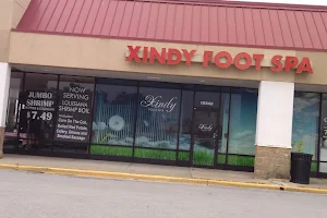 Xindy Foot Spa image