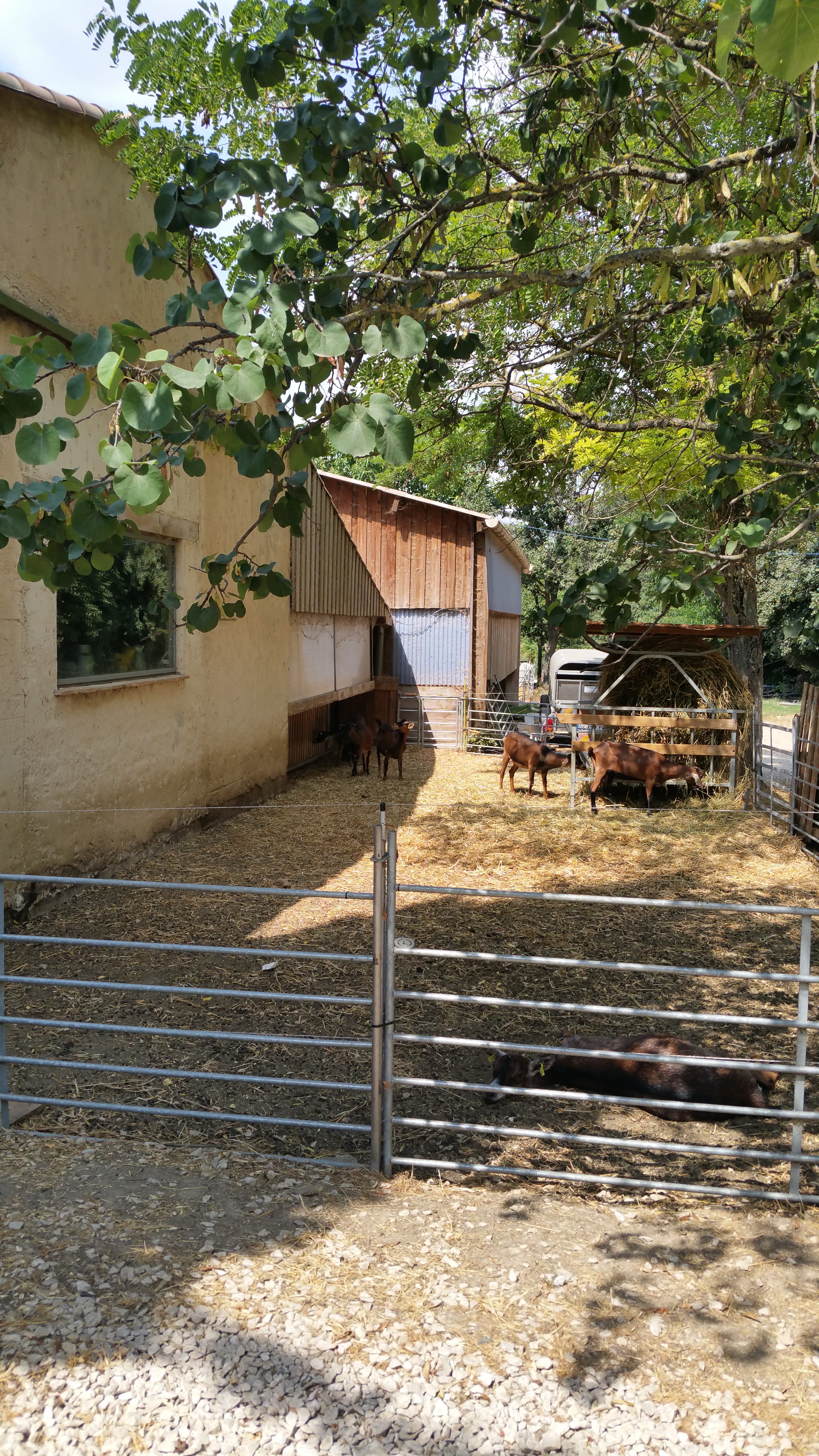 Photo n° 3 de l'avis de Franck.a fait le 07/08/2018 à 16:40