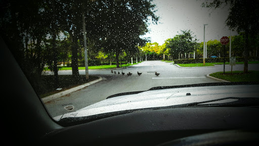 Supermarket «Publix Super Market at The Acreage», reviews and photos, 7050 Seminole Pratt Whitney Rd, Loxahatchee, FL 33470, USA