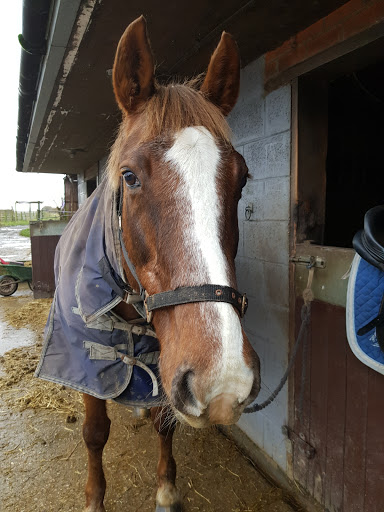 Four Winds Equestrian Centre