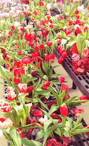 Department Store «Walmart Supercenter», reviews and photos, 340 Norman Dr, Valdosta, GA 31601, USA