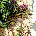 Photo n°3 de l'avis de domenico.i fait le 06/10/2020 à 06:29 sur le  Masseria De Bellis à Conversano