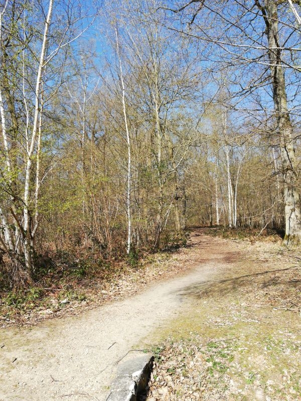 Photo n° 1 de l'avis de Jean-jacques.o fait le 23/05/2019 à 18:05