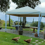 Photo n°12 de l'avis de Seetoh.m fait le 03/04/2022 à 14:20 sur le  Serendepico à Capannori