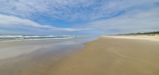 Bayshore beach