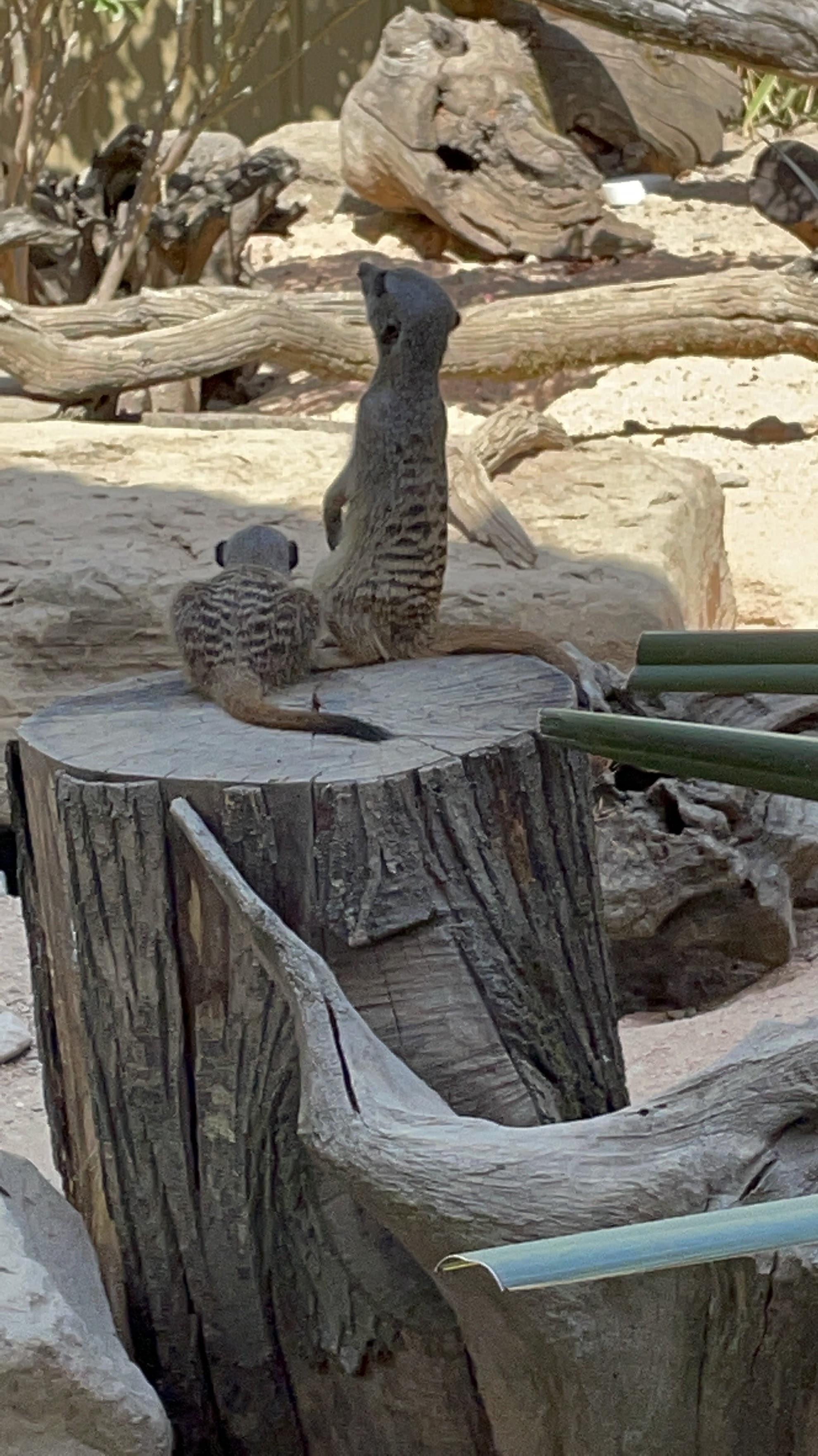 Photo n° 4 de l'avis de La.i fait le 25/08/2022 à 14:34