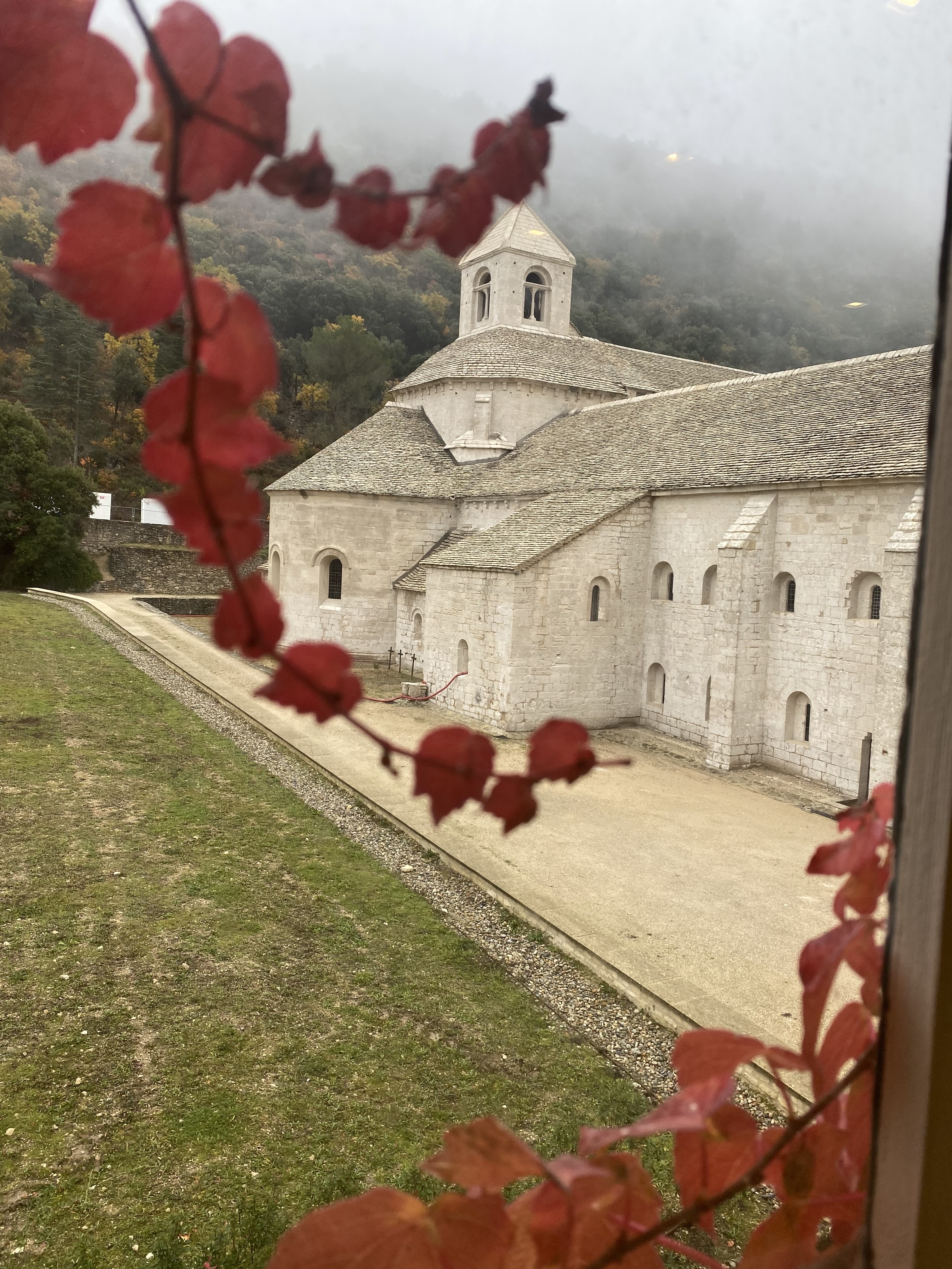 Photo n° 3 de l'avis de Marie.l fait le 15/11/2021 à 19:42