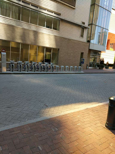 Charlotte BCycle: Levine Ave. of the Arts