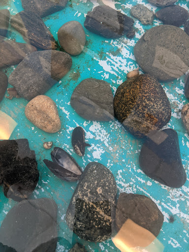 Casino «Hampton Beach Casino», reviews and photos, 169 Ocean Blvd, Hampton, NH 03842, USA