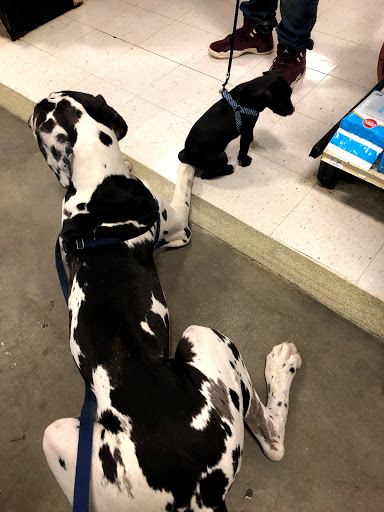 Pet Supply Store «PetSmart», reviews and photos, 12142 Jefferson Ave, Newport News, VA 23602, USA