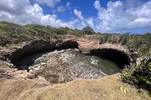 The Blowhole image