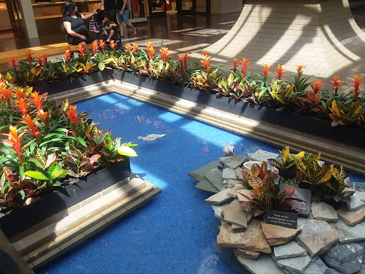 Clothing Store «Nike», reviews and photos, 8687 N Central Expy, Dallas, TX 75225, USA