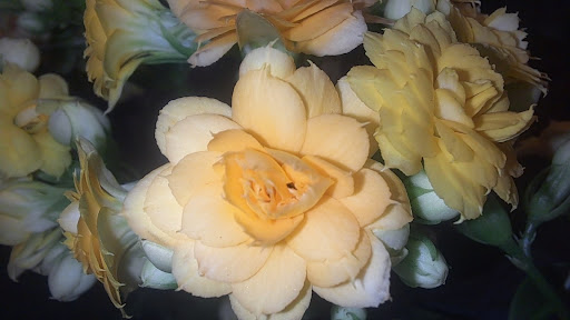 Grocery Store «Safeway», reviews and photos, 7301 Greenback Ln, Citrus Heights, CA 95621, USA