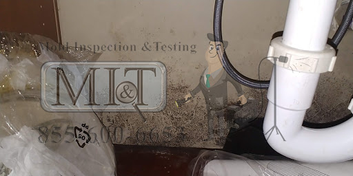 Mold Inspection & Testing DC