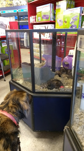 Pet Supply Store «Petco Animal Supplies», reviews and photos, 3731 Gateway Dr, Eau Claire, WI 54701, USA