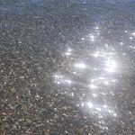 Photo n°7 de l'avis de Beate.e fait le 16/08/2020 à 15:54 sur le  Strandbad Mettnau à Radolfzell