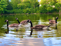 NAMAH~NaadYog Academy of Music & Artistic Heritage - Photo 4 - Car repair in Glastonbury, CT, Hartford