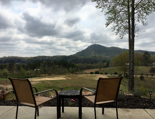 Winery «Currahee Vineyard & Winery», reviews and photos, 3301 W Currahee St, Toccoa, GA 30577, USA