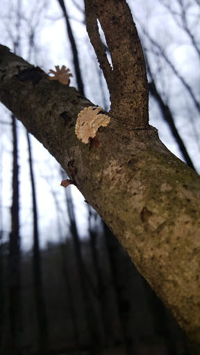 State Park «Swatara State Park», reviews and photos, 1450 Suedberg Rd, Pine Grove, PA 17963, USA