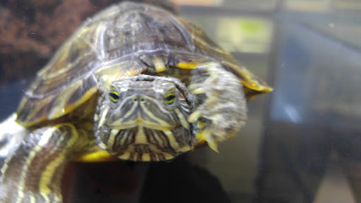 Pet Supply Store «Petco Animal Supplies», reviews and photos, 22511 TX-249, Houston, TX 77070, USA