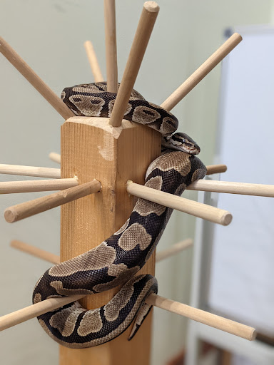 Learning Center «Oxbow Eco-Center», reviews and photos, 5400 NE St James Dr, Port St Lucie, FL 34983, USA