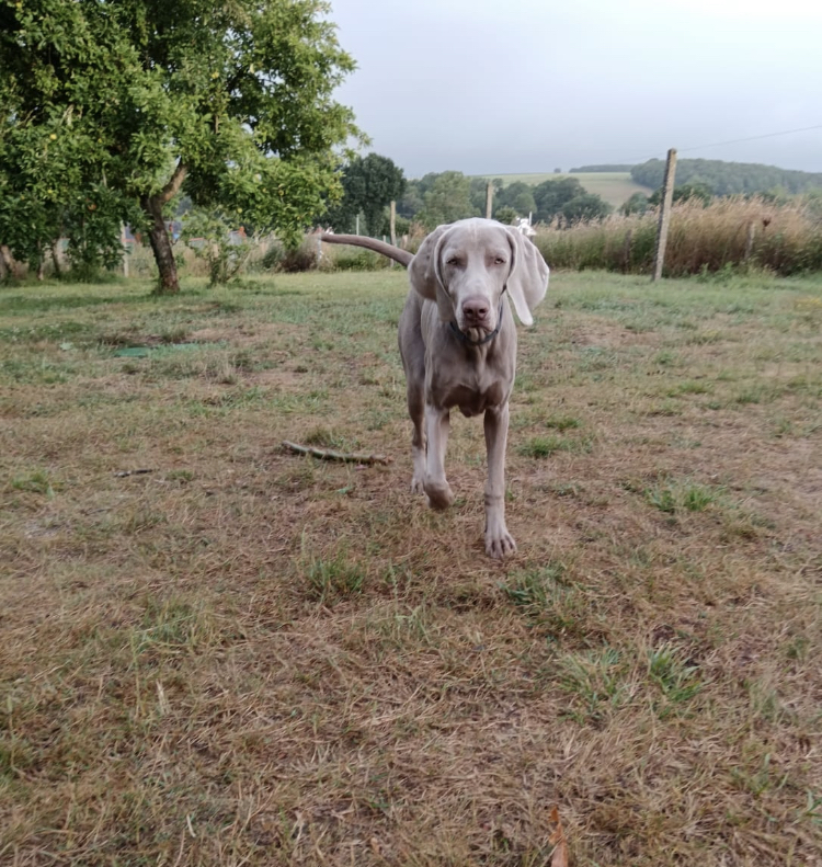 Photo n° 1 de l'avis de audrey.e fait le 16/07/2023 à 17:12