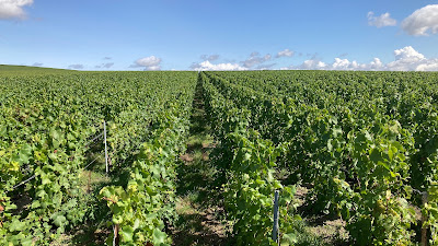 Champagne Didier LAPIE à Vaudemange