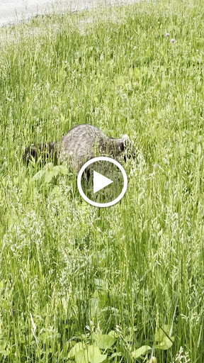 Nature Preserve «Thaddeus S. 