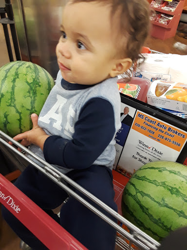 Grocery Store «Winn-Dixie», reviews and photos, 11312 US 49 H, Gulfport, MS 39503, USA