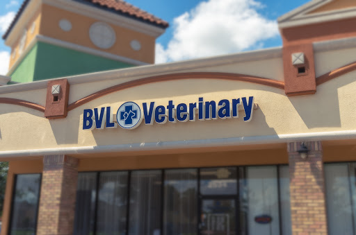BVL Veterinary Hospital image