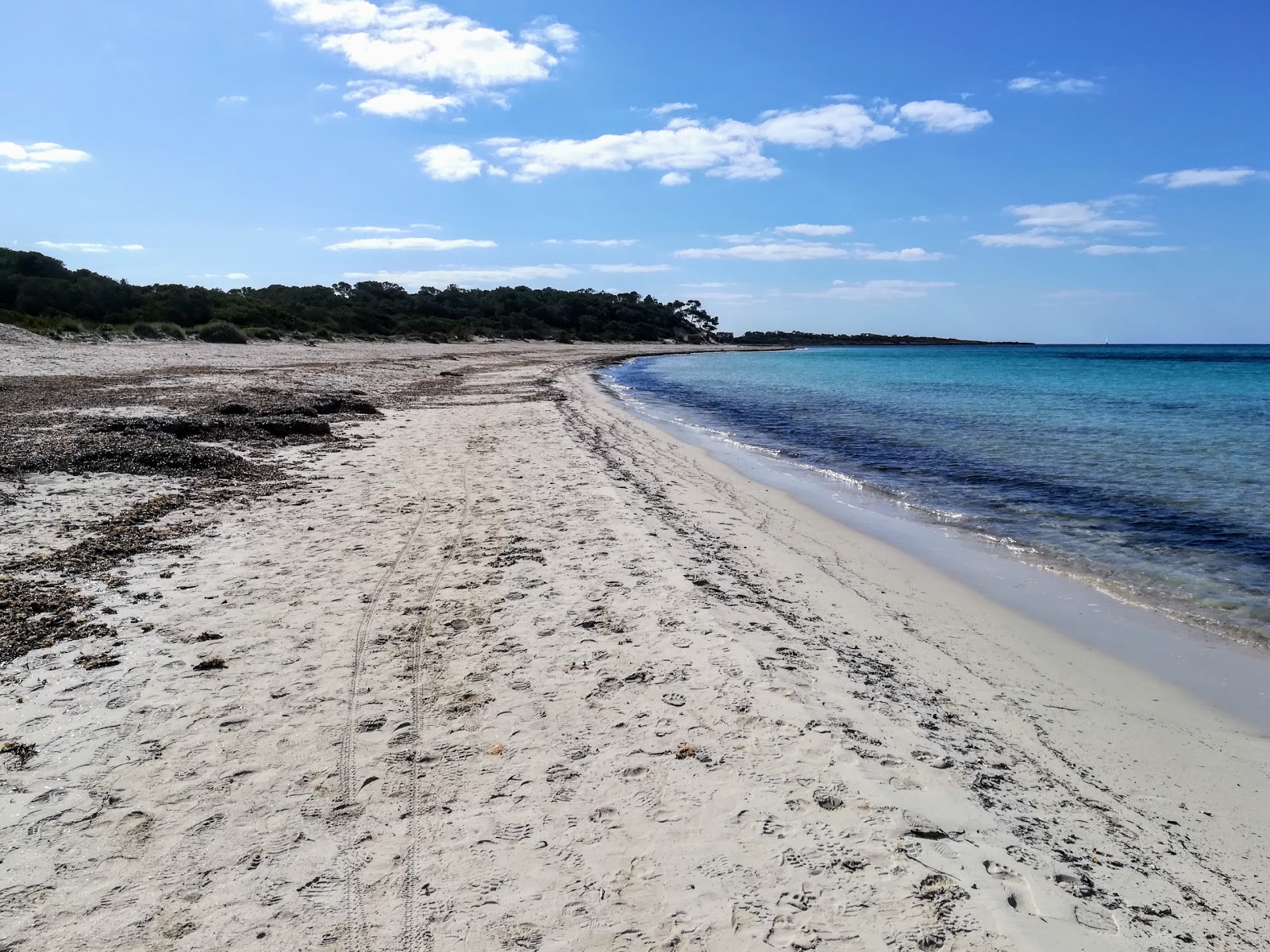 Platja d'es Carbo photo #7