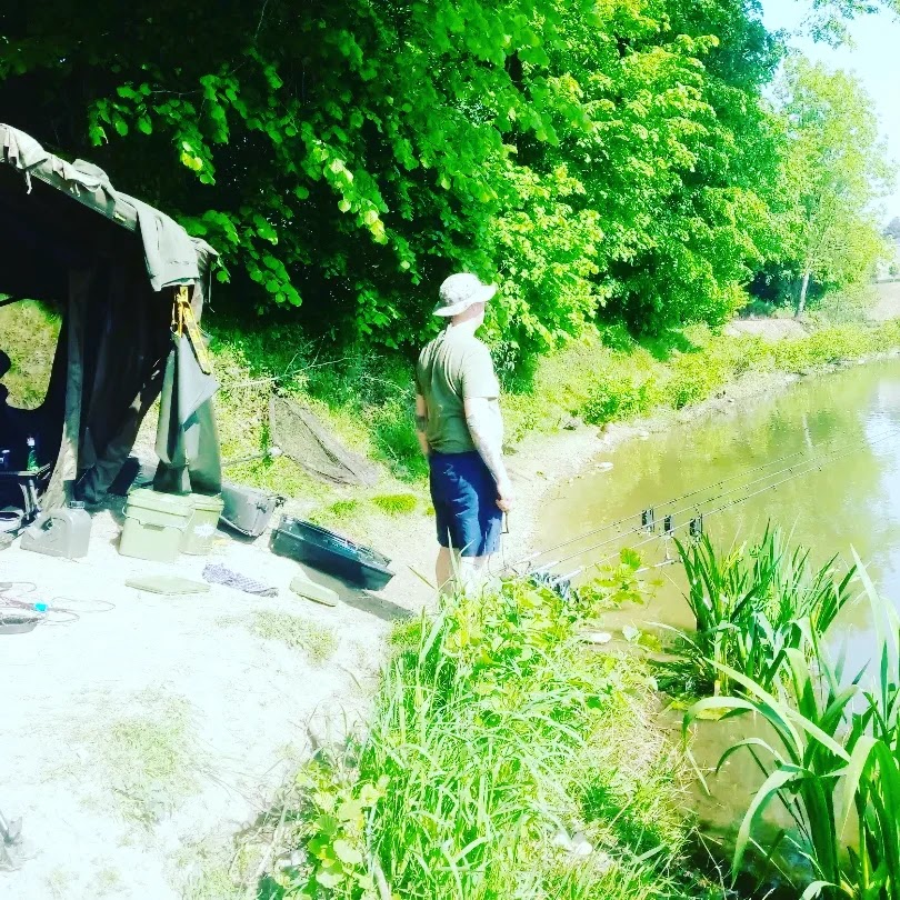Photo n° 10 de l'avis de Medved.r fait le 19/05/2022 à 14:51