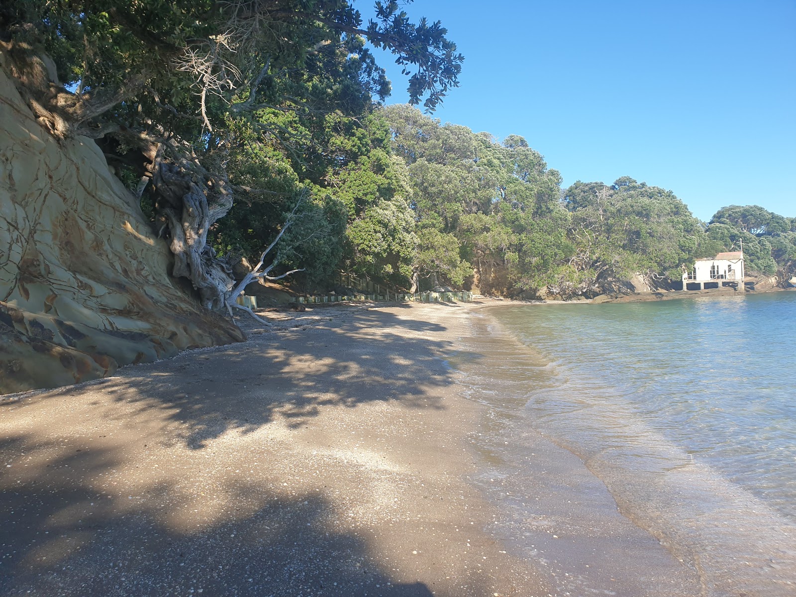 Foto di Shelly Reserve Beach con una superficie del sabbia di conchiglie beige