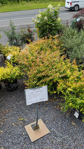 Market «Green Top Farm Market», reviews and photos, 1811 NJ-70, Southampton Township, NJ 08088, USA