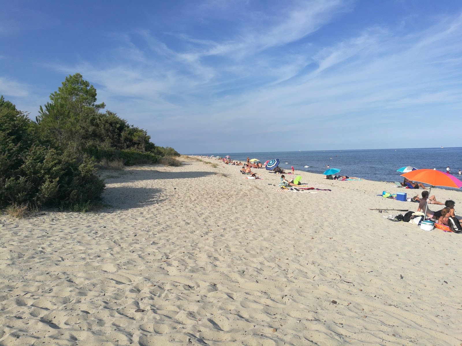 Foto di Plage Pinia con una superficie del sabbia beige fine