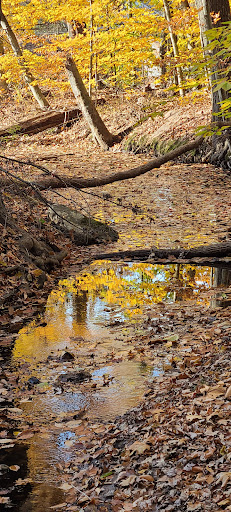 Nature Preserve «Cotton Hollow Preserve», reviews and photos, 493 Hopewell Rd, South Glastonbury, CT 06073, USA
