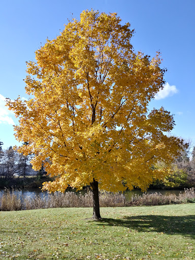 Park «Bass Lake Park», reviews and photos, 3450 Glenhurst Ave, Minneapolis, MN 55416, USA