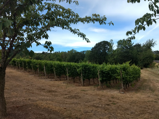 Vineyard «Cristom Vineyards», reviews and photos, 6905 Spring Valley Rd NW, Salem, OR 97304, USA